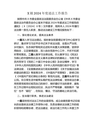 X镇2024年度述法工作报告