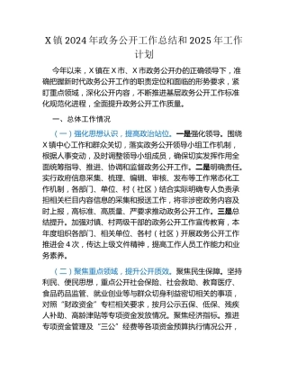X镇2024年政务公开工作总结和2025年工作计划