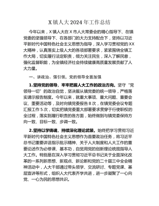 X镇人大2024年工作总结