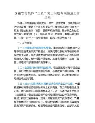 X镇农村集体“三资”突出问题专项整治工作总结