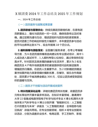 X镇团委2024年工作总结及2025年工作规划