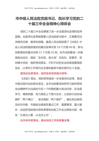市中级人民法院党组书记、院长学习党的二十届三中全会精神心得体会