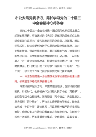 市公安局党委书记、局长学习党的二十届三中全会精神心得体会