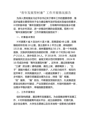 “青年发展型村寨”工作开展情况报告