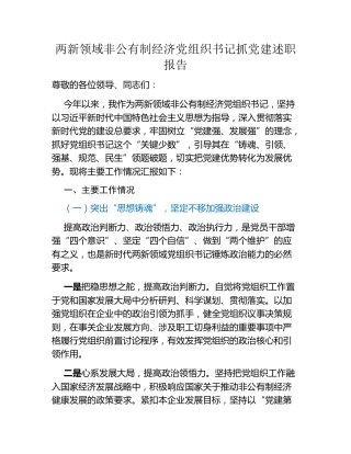 两新领域非公有制经济党组织书记抓党建述职报告