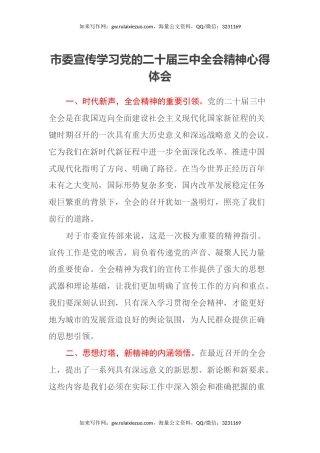 市委宣传学习党的二十届三中全会精神心得体会