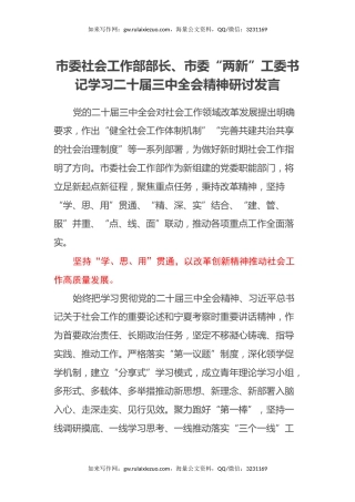 市委社会工作部部长、市委“两新”工委书记学习二十届三中全会精神研讨发言