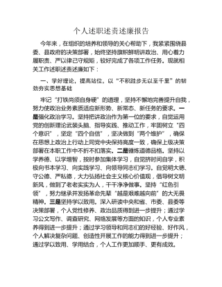 个人述职述责述廉报告