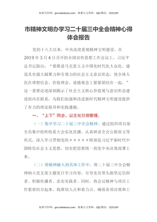 市精神文明办学习二十届三中全会精神心得体会报告