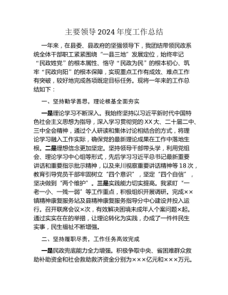 主要领导2024年度工作总结