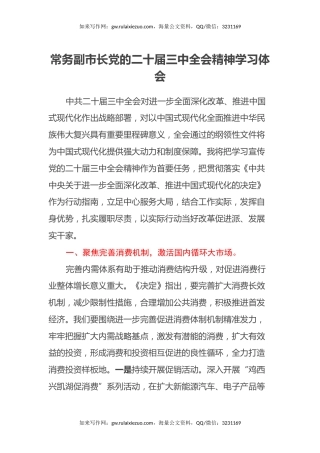 常务副市长党的二十届三中全会精神学习体会