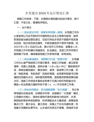 乡党建办2024年运行情况汇报