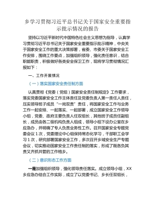 乡学习贯彻习近平总书记关于国家安全重要指示批示情况的报告
