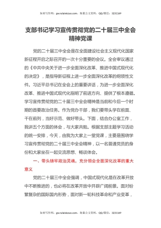 支部书记学习宣传贯彻党的二十届三中全会精神党课（2）