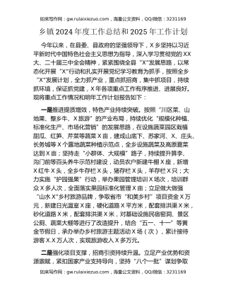 乡镇2024年度工作总结和2025年工作计划