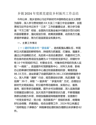乡镇2024年度抓党建促乡村振兴工作总结