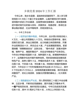 乡镇党委2024年工作汇报