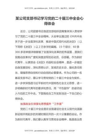 某公司支部书记学习党的二十届三中全会心得体会