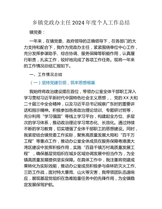 乡镇党政办主任2024年度个人工作总结