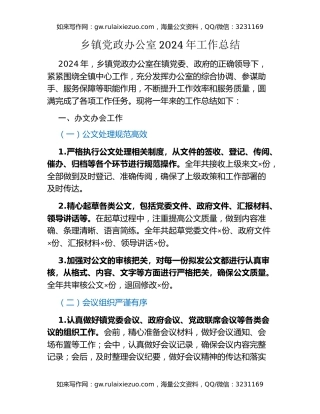 乡镇党政办公室 2024 年工作总结