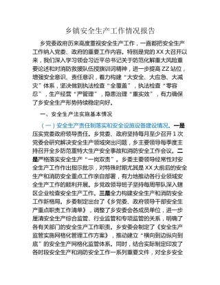 乡镇安全生产工作情况报告