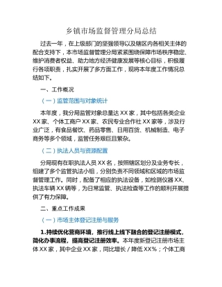 乡镇市场监督管理分局总结