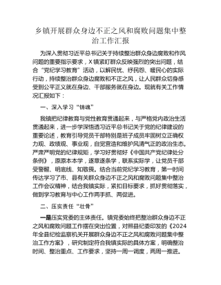 乡镇开展群众身边不正之风和腐败问题集中整治工作汇报 (3)