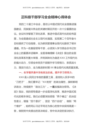正科级干部学习全会精神心得体会