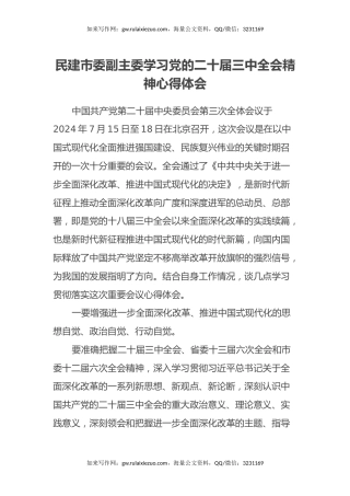 民建市委副主委学习党的二十届三中全会精神心得体会