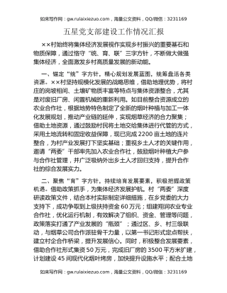 五星党支部建设工作情况汇报