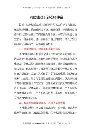 消防挂职干部心得体会