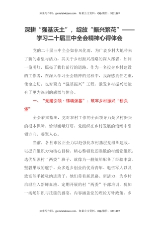 深耕“强基沃土”，绽放“振兴繁花”——学习二十届三中全会精神心得体会