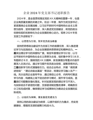 企业2024年党支部书记述职报告