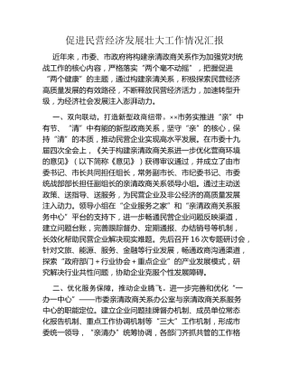 促进民营经济发展壮大工作情况汇报