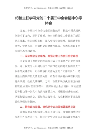 纪检主任学习党的二十届三中全会精神心得体会