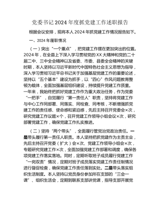 党委书记2024年度抓党建工作述职报告