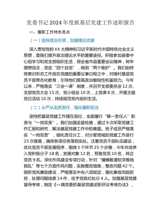 党委书记2024年度抓基层党建工作述职报告
