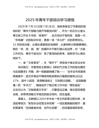 2025年青年干部培训学习感悟