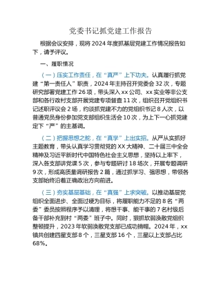 党委书记抓党建工作报告