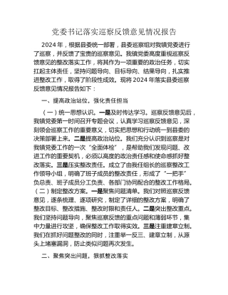 党委书记落实巡察反馈意见情况报告