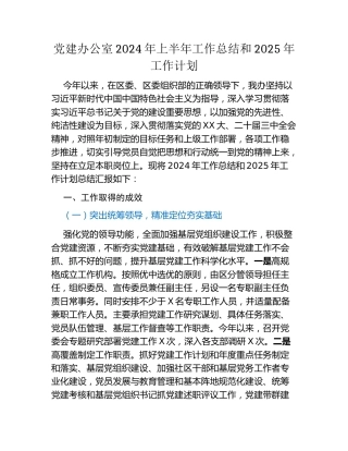 党建办公室2024年上半年工作总结和2025年工作计划