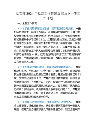 党支部2024年党建工作情况总结及下一步工作计划