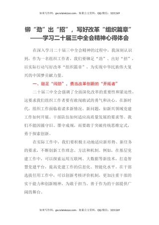 铆“劲”出“招”，写好改革“组织篇章”——学习二十届三中全会精神心得体会