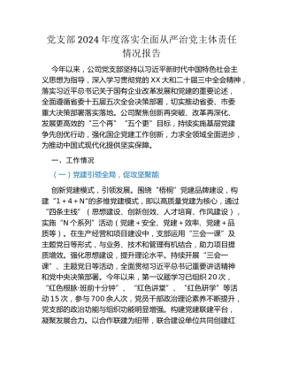党支部2024年度落实全面从严治党主体责任情况报告