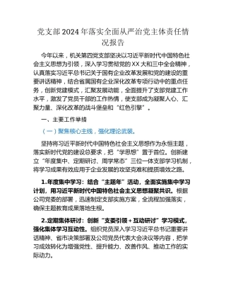 党支部2024年落实全面从严治党主体责任情况报告
