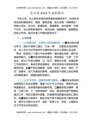 党支部2024年述职报告