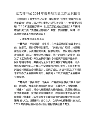 党支部书记2024年度基层党建工作述职报告