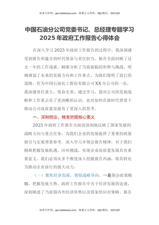 中国石油分公司党委书记、总经理专题学习2025年政府工作报告心得体会