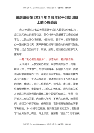 镇副镇长在2024年X县年轻干部培训班上的心得感言