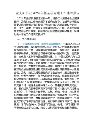 党支部书记2024年抓基层党建工作述职报告